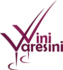 logo_vini_varesini