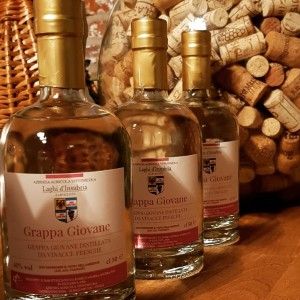 Grappa vitivinicola laghi insubria